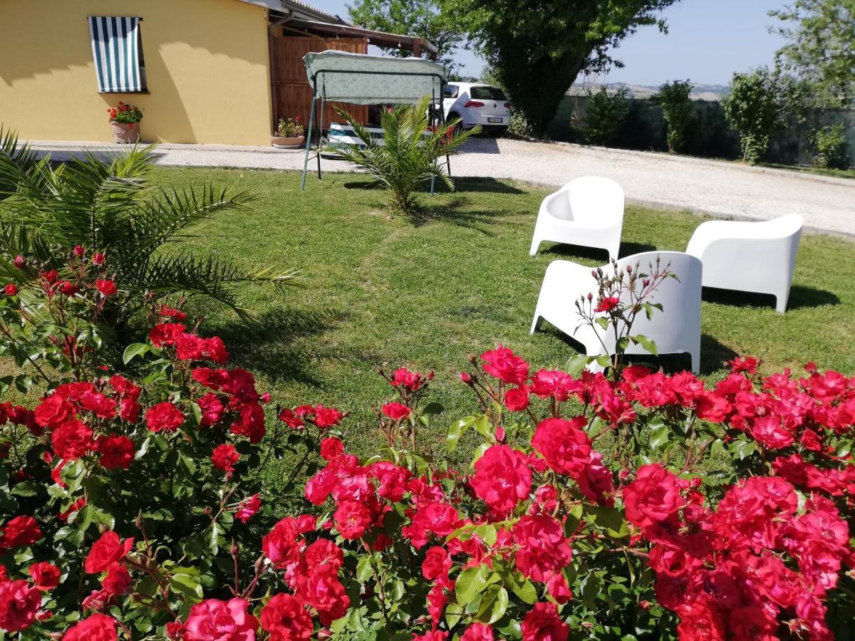 Casa Vacanze Angelica Ostra Vetere Екстериор снимка