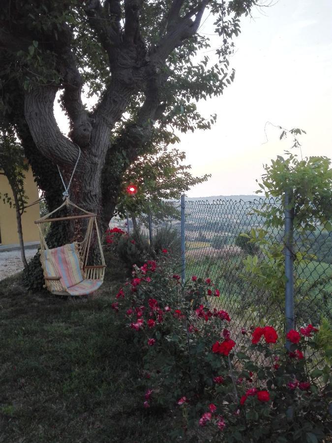 Casa Vacanze Angelica Ostra Vetere Екстериор снимка
