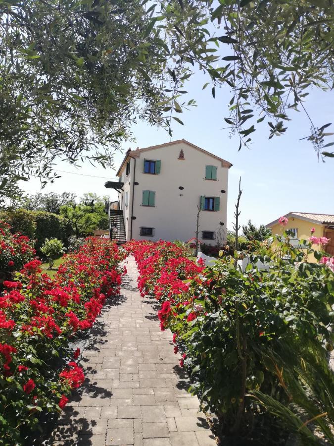 Casa Vacanze Angelica Ostra Vetere Екстериор снимка
