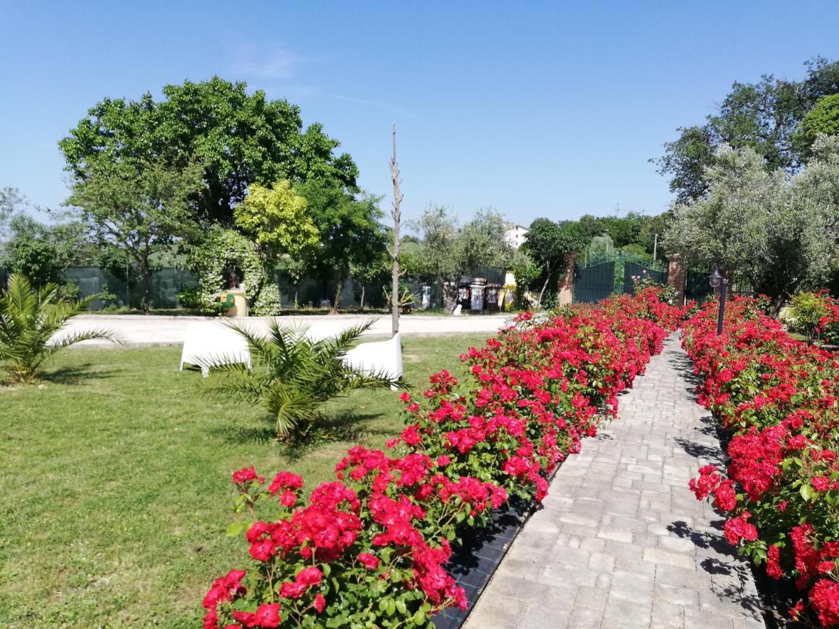 Casa Vacanze Angelica Ostra Vetere Екстериор снимка