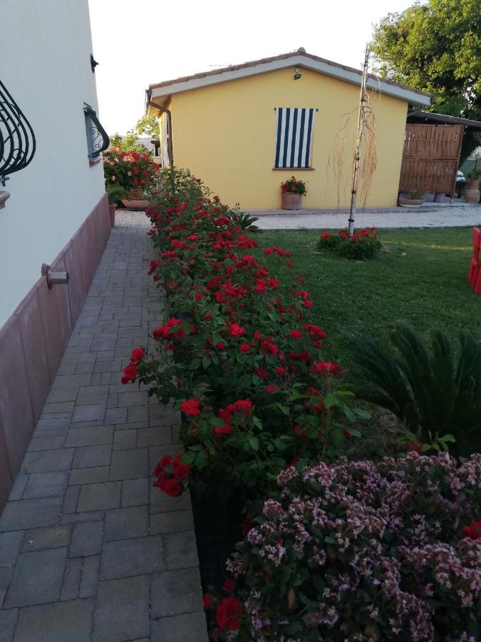 Casa Vacanze Angelica Ostra Vetere Екстериор снимка
