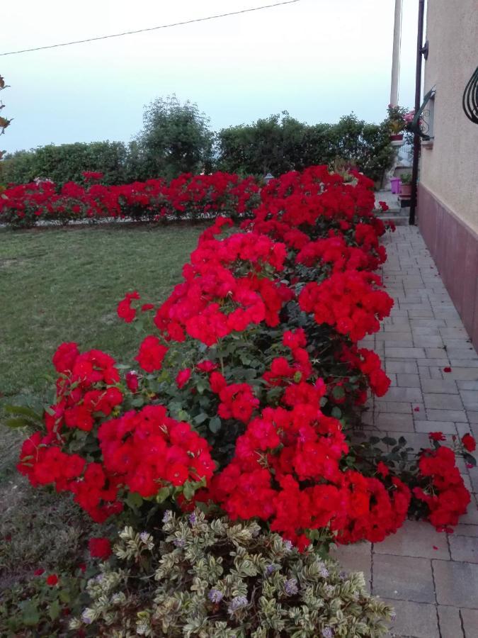 Casa Vacanze Angelica Ostra Vetere Екстериор снимка