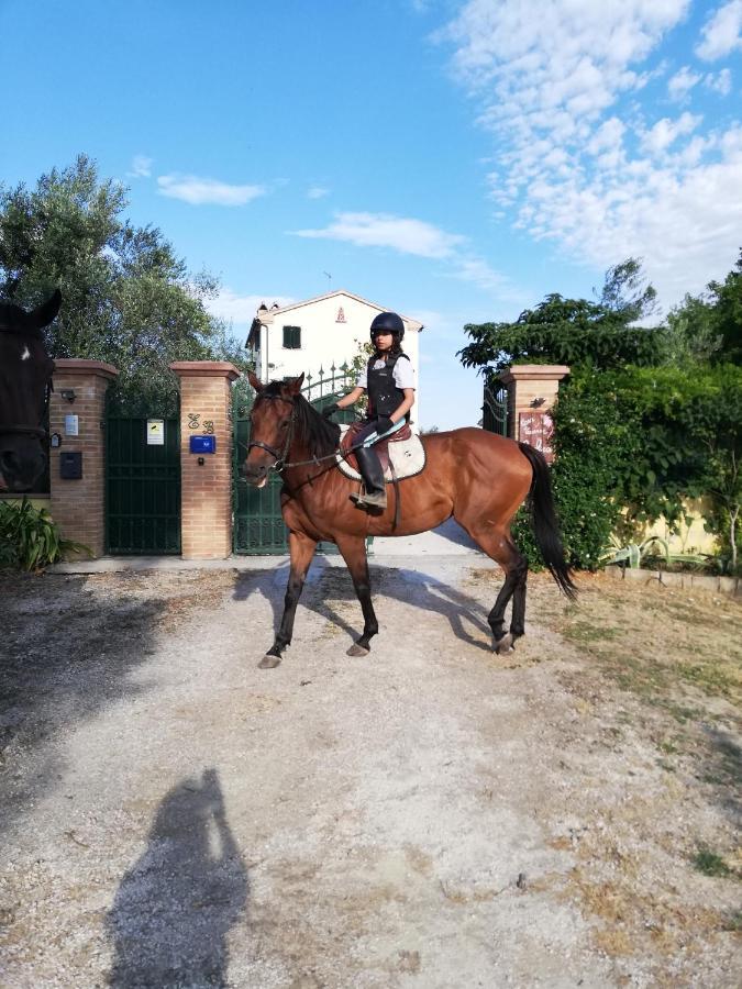 Casa Vacanze Angelica Ostra Vetere Екстериор снимка